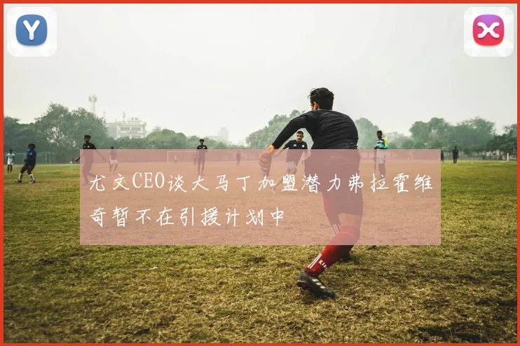 尤文CEO谈大马丁加盟潜力弗拉霍维奇暂不在引援计划中